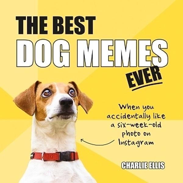 The Best Dog Memes Ever, Charlie Ellis
