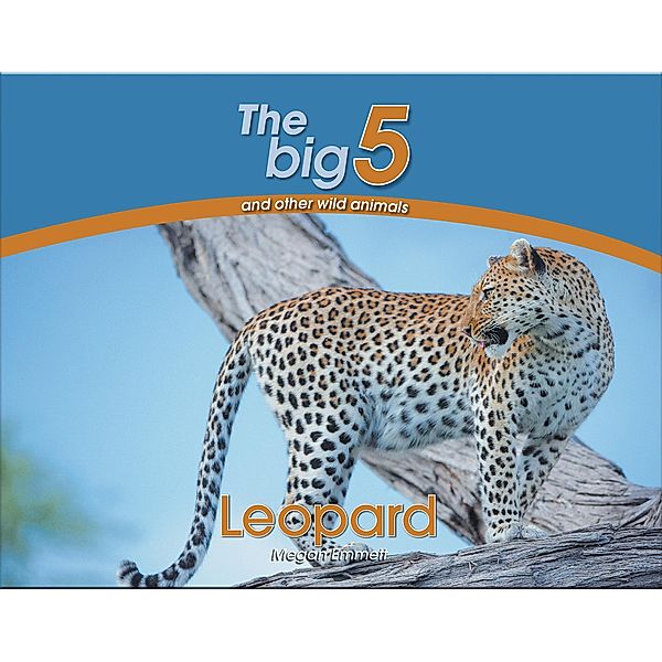 The Big 5 and other wild animals: Leopard, Megan Emmett