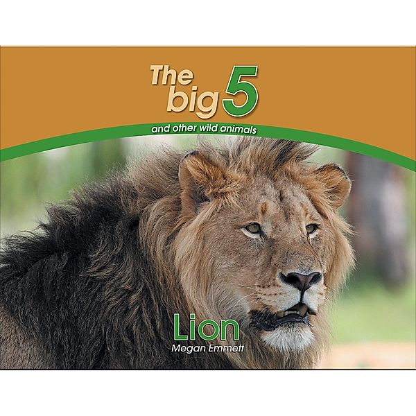 The Big 5 and other wild animals: Lion, Megan Emmett