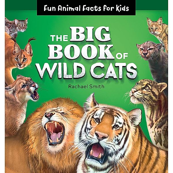 The Big Book of Wild Cats, Rachael Smith