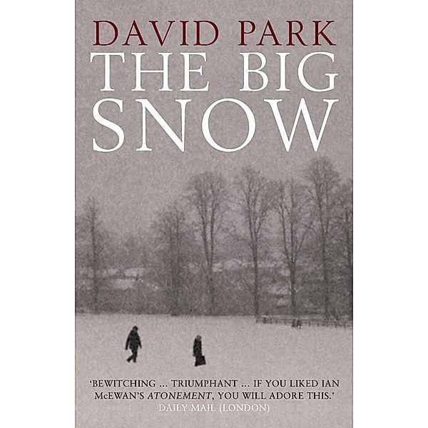 The Big Snow, David Park