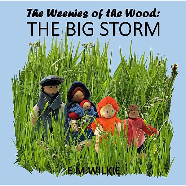 The Big Storm (The Weenies of the Wood Adventures) / The Weenies of the Wood Adventures, E M Wilkie