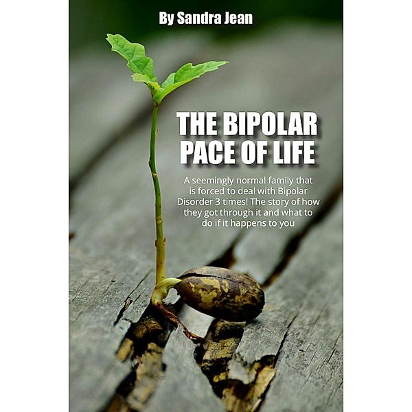 The Bipolar Pace of Life, Sandra Jean