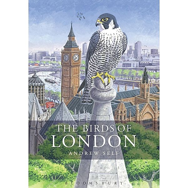 The Birds of London, Andrew Self