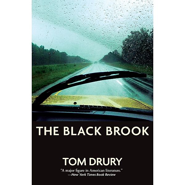 The Black Brook, Tom Drury