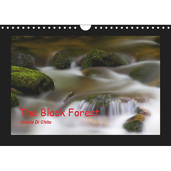 The Black Forest - UK Version (Wall Calendar 2019 DIN A4 Landscape), Ursula Di Chito