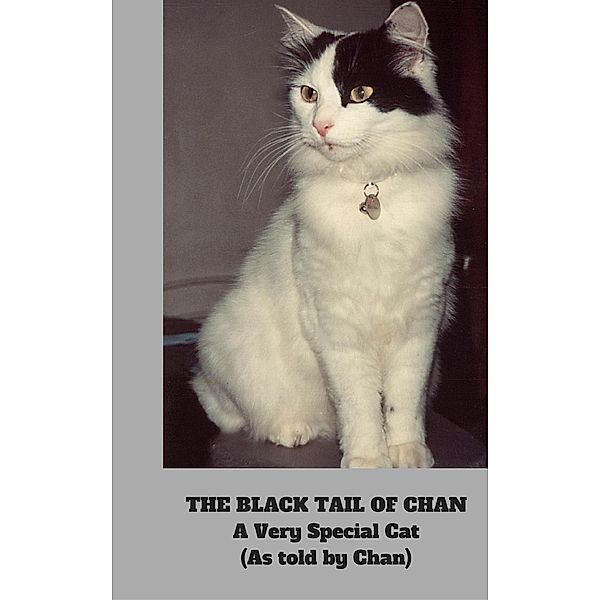The Black Tail of Chan - A Very Special Cat, Chan