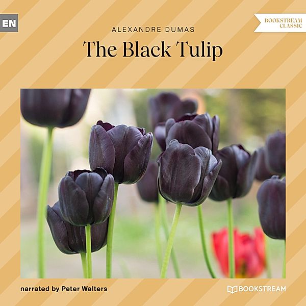 The Black Tulip, Alexandre Dumas