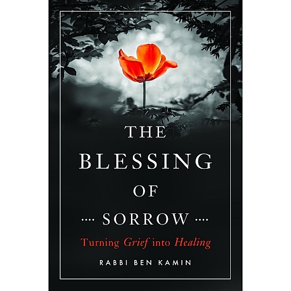The Blessing of Sorrow, Ben Kamin