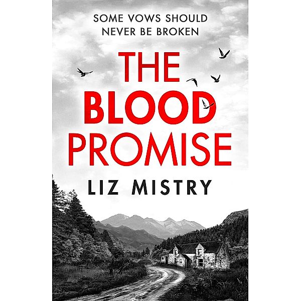 The Blood Promise / The Solanki and McQueen Crime Series Bd.1, Liz Mistry