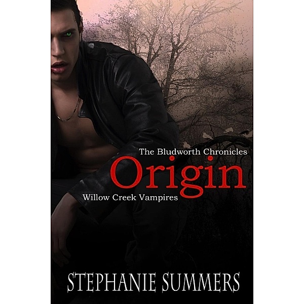 The Bludworth Chronicles: Origin (The Bludworth Chronicles, #1), Stephanie Summers