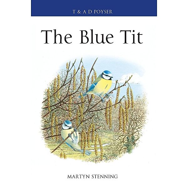 The Blue Tit, Martyn Stenning