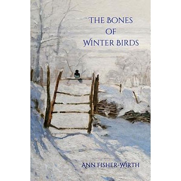 The Bones of Winter Birds / Terrapin Poetry, Ann Fisher-Wirth