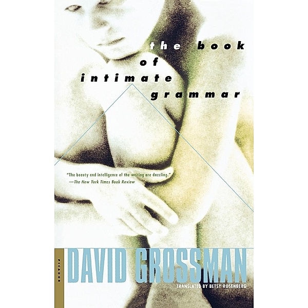 The Book of Intimate Grammar, Grossman David