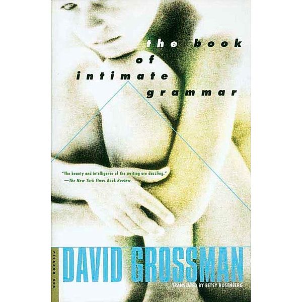 The Book of Intimate Grammar, David Grossman