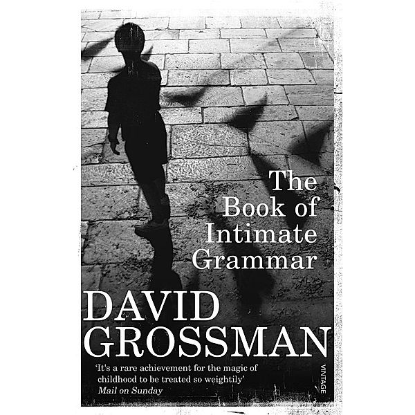 The Book Of Intimate Grammar, David Grossman