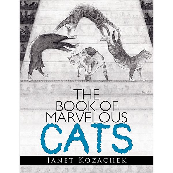 The Book of Marvelous Cats, Janet Kozachek