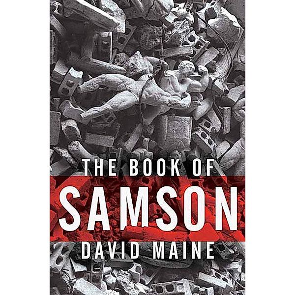 The Book of Samson, David Maine