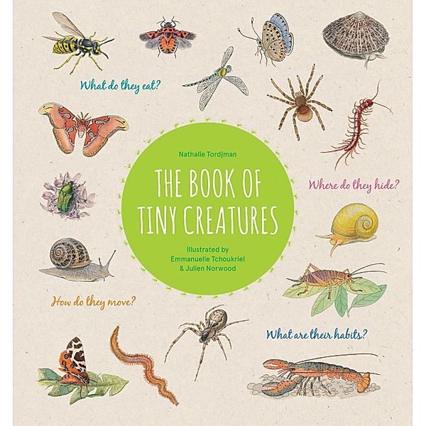 The Book of Tiny Creatures, Nathalie Tordjman