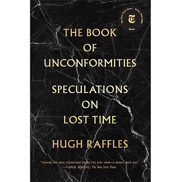 The Book of Unconformities, Hugh Raffles