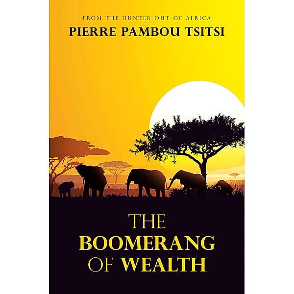 The Boomerang of Wealth, Pierre Pambou Tsitsi