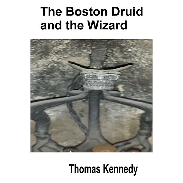 The Boston Druid and the Wizard (Irish/American fantasy, #6) / Irish/American fantasy, Thomas Kennedy
