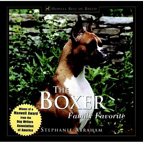 The Boxer, Stephanie Abraham