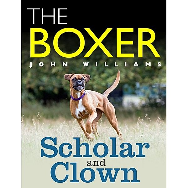 The Boxer: Scholar and Clown, John Williams