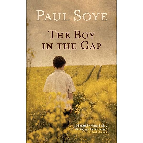 The Boy in the Gap, Paul Soye