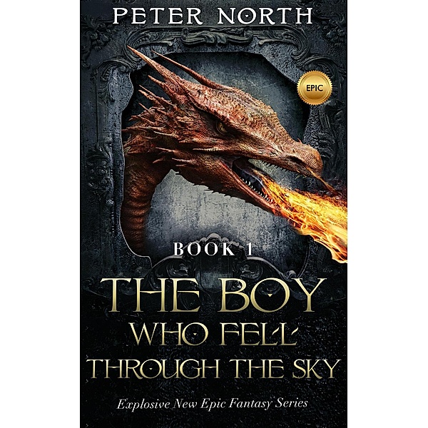The Boy Who Fell Through The Sky: The Boy Who Fell Through The Sky, Peter North