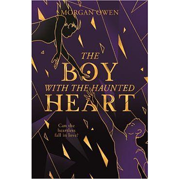 The Boy With The Haunted Heart, Owen Morgan