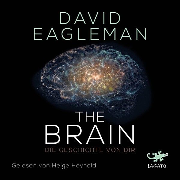 The Brain, David Eagleman