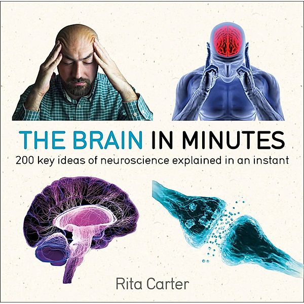 The Brain in Minutes / IN MINUTES, Rita Carter
