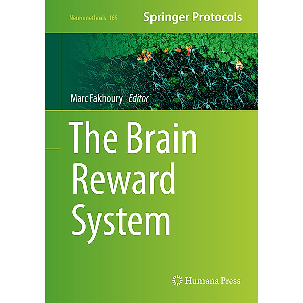 The Brain Reward System