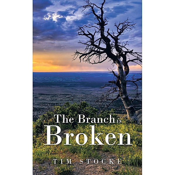 The Branch Is Broken, Tim Stocke