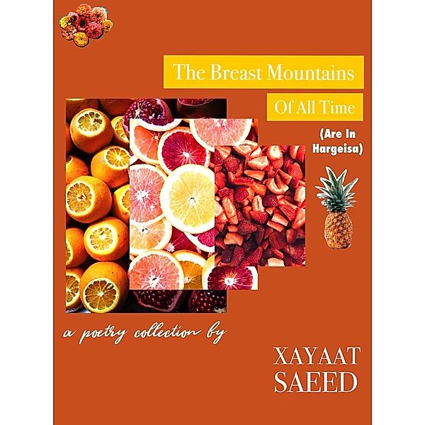 The Breast Mountains Of All Time (Are In Hargeisa), Xayaat Saeed