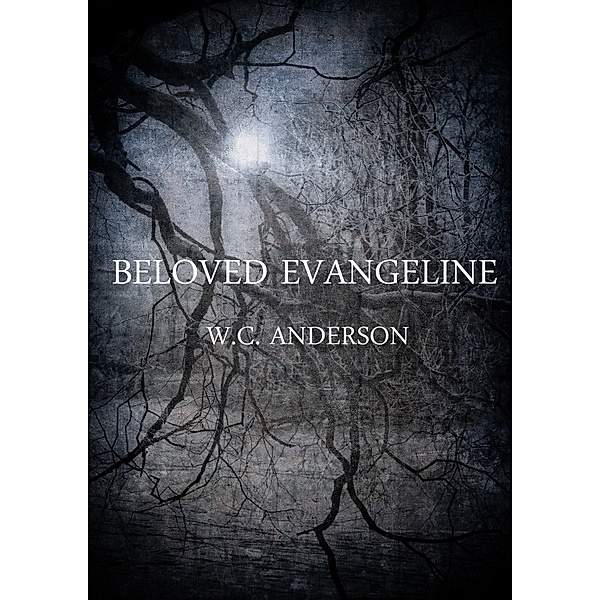 The Broken Heroine: Beloved Evangeline: The Broken Heroine Trilogy- New Adult Dark Urban Fantasy/Comedy - Book 1, W.C. Anderson
