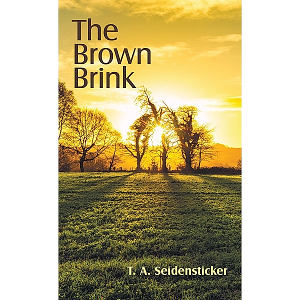 The Brown Brink, T. A. Seidensticker