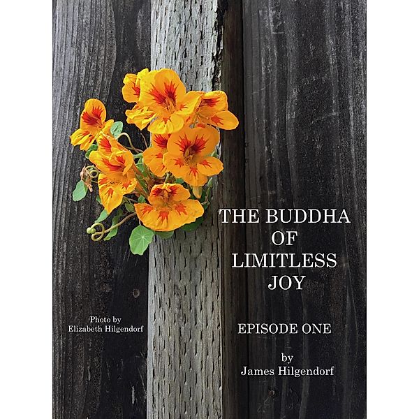 The Buddha of Limitless Joy: Episode One, James Hilgendorf
