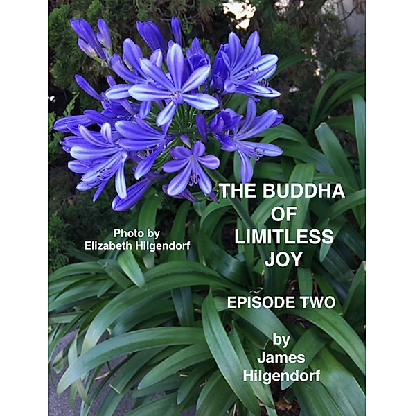 The Buddha of Limitless Joy: Episode Two, James Hilgendorf