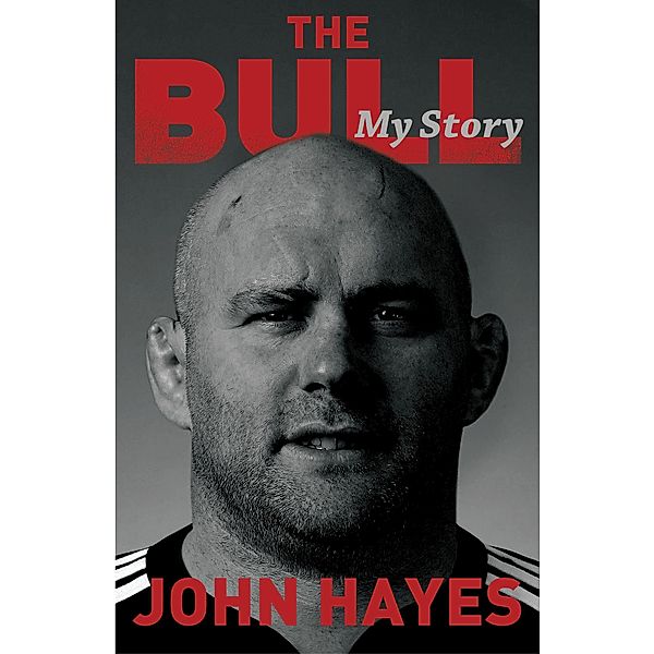 The Bull, John Hayes
