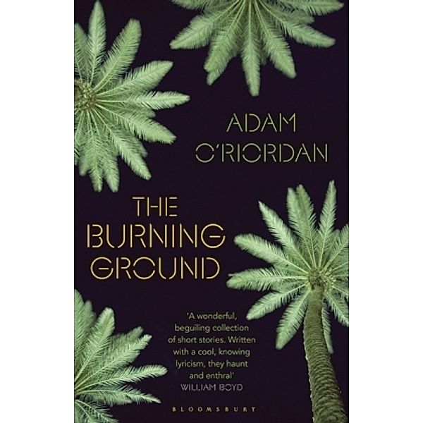 The Burning Ground, Adam O'Riordan