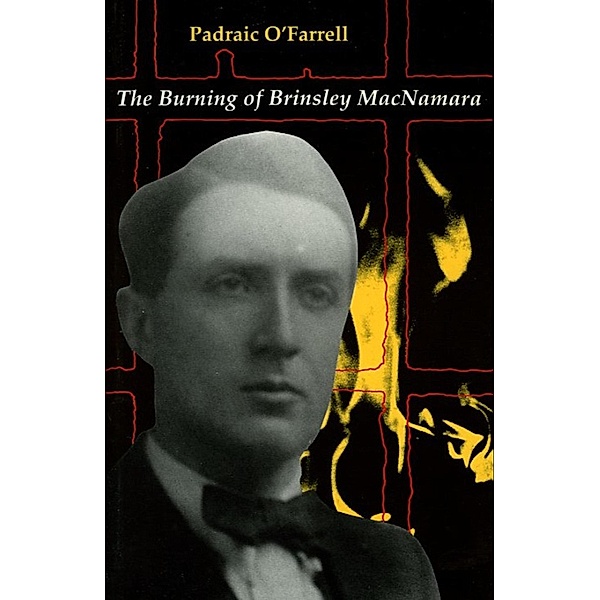 The Burning of Brinseley MacNamara, Padraic O' Farrell
