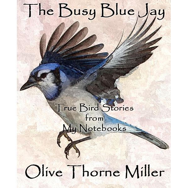 The Busy Blue Jay, Olive Thorne Miller