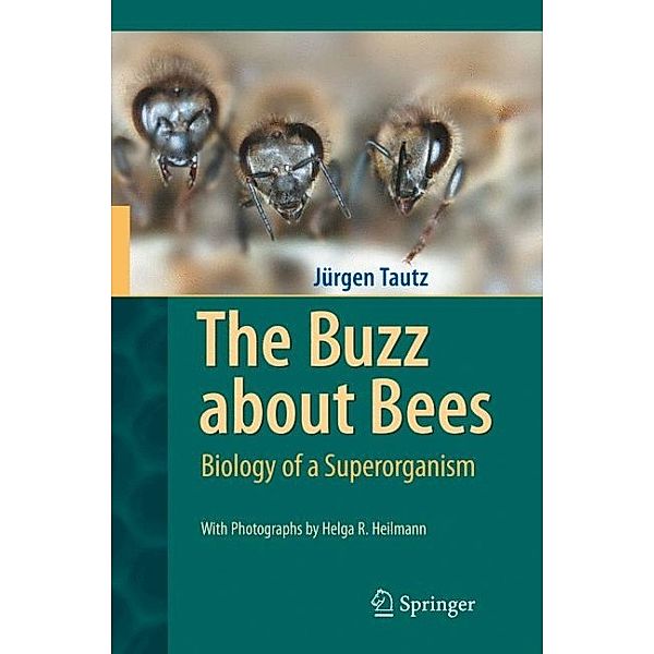 The Buzz about Bees, Jürgen Tautz