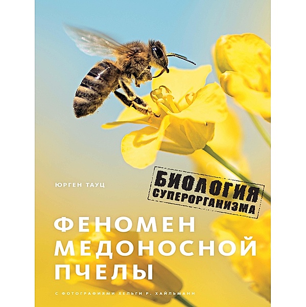 The Buzz about Bees: Biology of a Superorganism, Jürgen Tautz