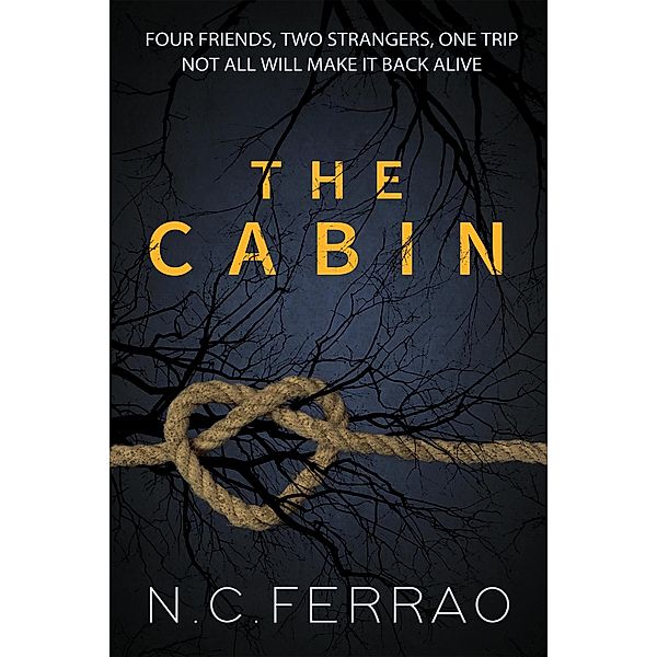 The Cabin (The Cabin of Nightmares, #1) / The Cabin of Nightmares, N. C. Ferrao