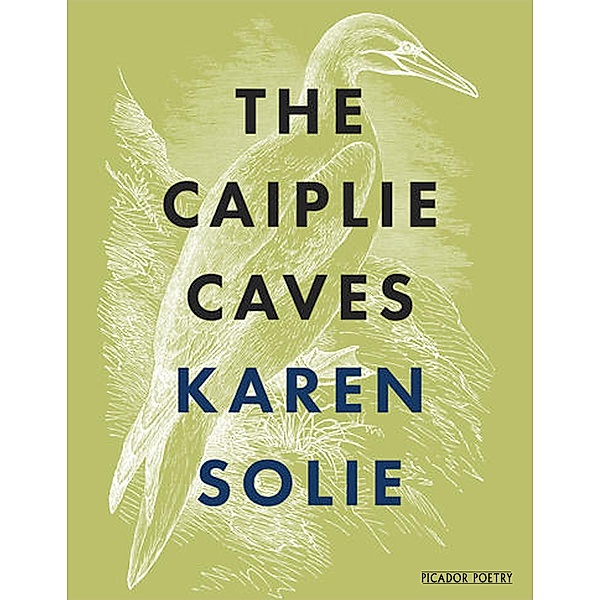 The Caiplie Caves, Karen Solie
