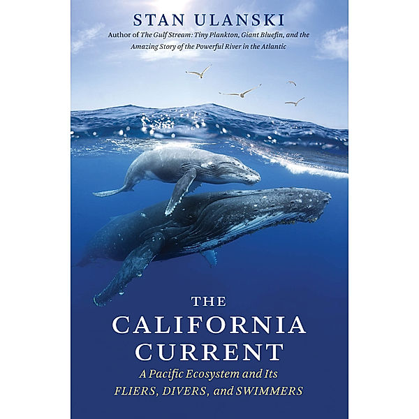 The California Current, Stan Ulanski