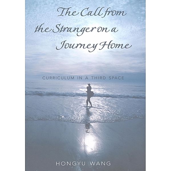 The Call from the Stranger on a Journey Home, Hongyu Wang